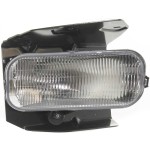 Front Fog Light Assembly for Ford F-Series 1999-2004, Right (Passenger), Replacement Models: F-150, F-250, F-350, F-450, F-550