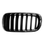 2014 - 2018 BMW X5 Grille Assy