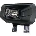 2015 - 2017 Ford F-150 Fog Light Lamp - Right (Passenger)