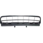 2013 - 2015 Lexus RX350 Front Bumper Insert