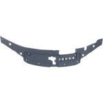 2013 - 2018 Lexus Es300h Front Panel Molding