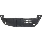 2013 - 2019 Volkswagen Beetle Front Panel Molding