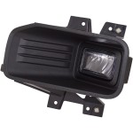 2018 - 2020 Ford F-150 Fog Light Lamp - Left (Driver)