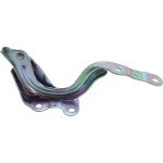 2018 - 2020 Hyundai Elantra  Hood Hinge - Left (Driver)