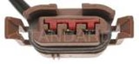 Brake / Tail / Turn Signal Light Connector