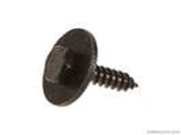 Bumper Cover Screw