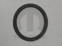 Distributor Gasket