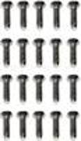 Door Hinge Screw