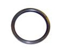 Engine Coolant Thermostat O-Ring