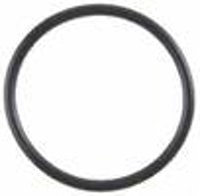 Engine Water Pump O-Ring