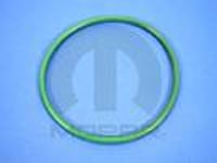 Fuel Pump O-Ring