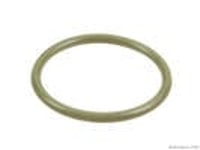 Fuel Pump Seal