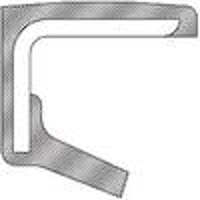 Transfer Case Companion Flange Seal
