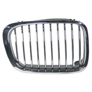 1999 - 2001 BMW 330i Grille Assembly - Right Passenger