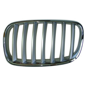 2007 - 2012 BMW X5 Grille Assy
