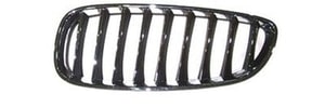 2009 - 2016 BMW Z4 Grille - (Brand: LKQ) - Left Driver Side - (M Roadster 3.2L Convertible + M Coupe 3.2L Coupe + 3.0si 3.0L Convertible + sDrive30i 3.0L Convertible + sDrive35i 3.0L Convertible + M Sport 2.0L, 3.0L Convertible + 2.5si 2.5L Convertible + sDrive35is 3.0L Convertible + sDrive28i 2.0L Convertible + sDrive20i 2.0L Convertible + sDrive18i 2.0L Convertible + Design Pure Traction 2.0L Convertible + sDrive23i 2.5L Convertible) Replacement