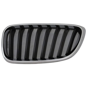 2014 - 2021 BMW 228i Grille Assembly - Left Driver