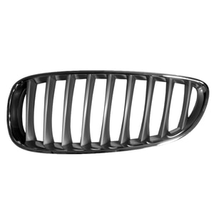 2009 - 2016 BMW Z4 Grille Assy