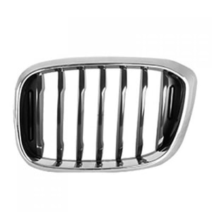2018 - 2019 BMW X4 Grille Assembly