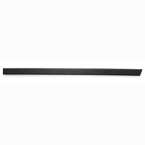 1999 - 2006 BMW 323i Rear Door Molding - Left Driver