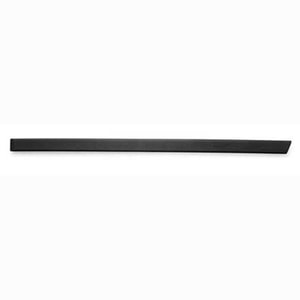 1999 - 2006 BMW 323i Rear Door Molding - Right Passenger