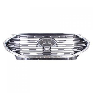 2019 - 2024 Ford Edge Grille Assembly