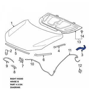 2023 - 2024 Honda CR-V Hood Hinge Assembly
