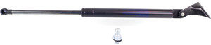 Trunk Lid Shock Support Strut, Gas Spring for Nissan Versa 2007-2012, Right Passenger Side, Replacement