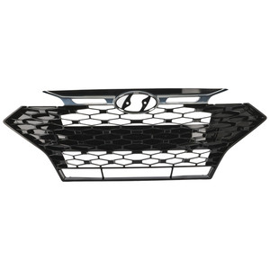2019 - 2020 Hyundai Elantra Grille Assembly