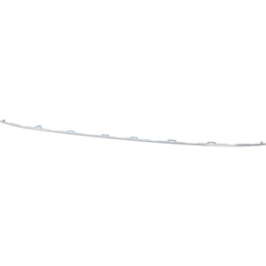 2021 - 2022 Honda Accord Grille Molding