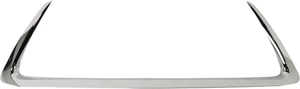 2016 - 2017 Lexus Ct200h Grille Molding Lower