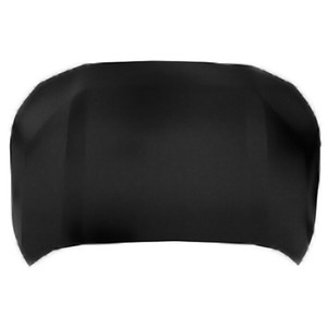2019 - 2024 Toyota RAV4 Hood Panel Assembly (CAPA Certified)