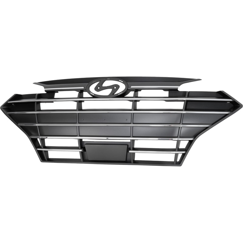 2019 - 2020 Hyundai Elantra Grille Assembly
