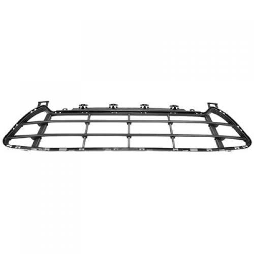 2020 - 2022 BMW X1 Front Bumper Grille