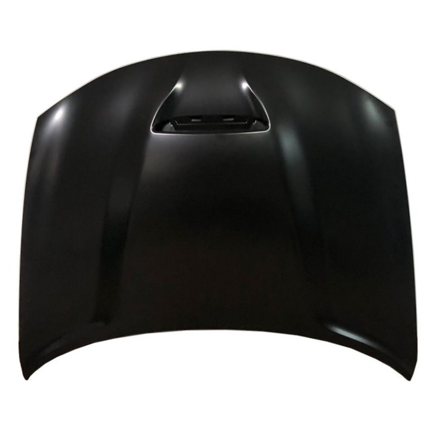2015 - 2023 Dodge Charger Hood Panel Assembly