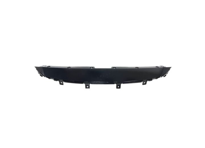 2021 - 2022 Honda Accord Grille Molding (CAPA Certified)