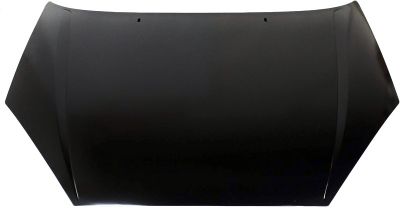 Hood for Ford Focus 2000-2004, Replacement