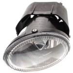 Front Fog Light Assembly for Nissan Maxima 2000-2001, Xterra 2002-2002, Left (Driver), Replacement