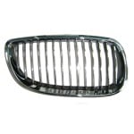 2007 - 2010 BMW 328i Grille Assy