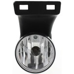 Front Fog Light Assembly for Dodge Full Size Pickup 1999-2002, Left (Driver), Without Sport Package, Old Body Style, Replacement