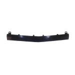 2015 - 2018 Mercedes Benz C300 Front Bumper Trim - Center