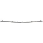 2020 - 2023 Mercedes Benz Gle450 Front Bumper Trim - Center