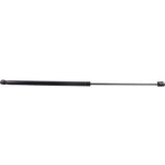 2010 - 2018 Mercedes Benz Cls550 Lift Support Left or Right (Driver or Passenger)