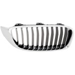 2014 - 2020 BMW 428i Grille Assy