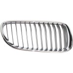2011 - 2013 BMW 328i Grille - (Brand: LKQ) - Front Right (Passenger) Side - (Base 3.0L Sedan + Base 3.0L Wagon + Base 3.0L Coupe + Base 3.0L Convertible + Base 3.0L, 2.0L Sedan + Base 3.0L, 2.0L Wagon + Base 3.0L, 2.0L Coupe + Base 3.0L, 2.0L Convertible + Sport 2.0L, 3.0L Sedan + Luxury 2.0L, 3.0L Sedan + M Sport 2.0L Sedan + Modern 2.0L, 3.0L Sedan) Replacement