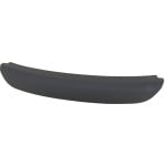 2015 - 2023 Dodge Charger Front Bumper Trim