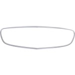 Chrome Grille Molding for Mercedes-Benz E63 AMG 2014-2016, Replacement