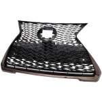 2019 - 2024 Lexus Ux200 Grille Assembly