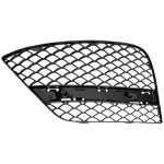 2014 - 2017 Mercedes Benz S550 Front Bumper Insert (Left / Driver Side)
