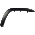 2010 - 2024 Toyota 4runner Front Fender Flare - Right (Passenger)